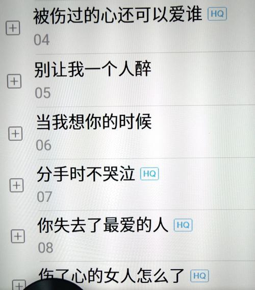 苹果手机歌单歌词显示方法？设置步骤是什么？  第1张