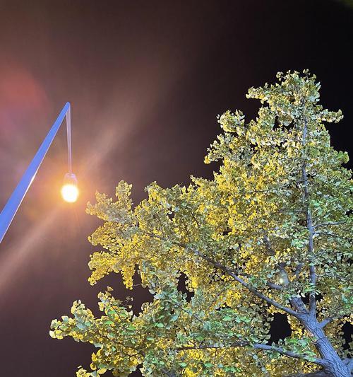 苹果手机的灯光功能如何使用？有哪些实用的场景？  第1张