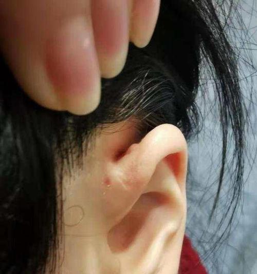 兽头固定眼镜的视频教程在哪找？视频教程能提供哪些帮助？  第1张