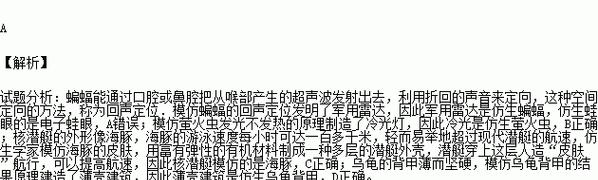脑机智能仿生眼镜有何特点？仿生眼镜的性能如何？  第1张