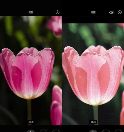 手机软件调整曝光度的方法是什么？如何获得最佳照片效果？  第3张