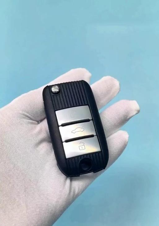 哪些车型支持智能手表作为汽车钥匙？  第3张