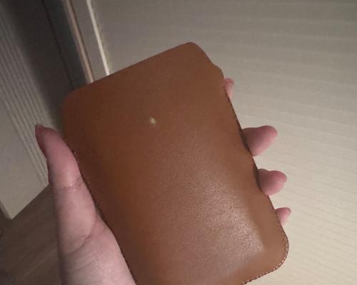 名人常用苹果手机套品牌是什么？  第2张
