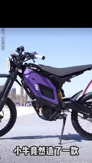 小牛nxt车载充电器使用方法是什么？  第3张