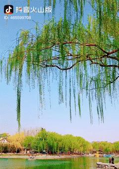红米手机拍摄动图视频有哪些技巧？  第1张