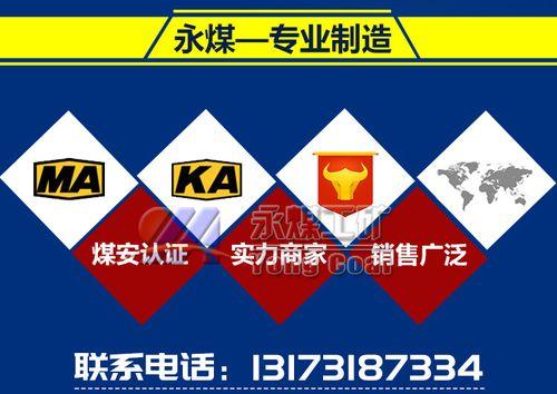 djb代表什么汽车品牌？这个品牌的特点是什么？  第3张