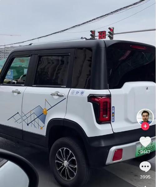 老头乐电动车接电源转换器的方法是什么？接错会有哪些风险？  第3张