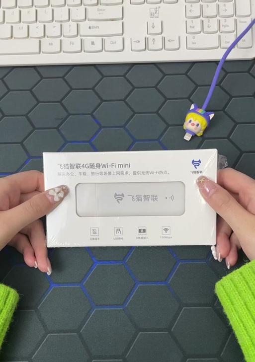 飞猫无线wifi密码如何修改？修改步骤是什么？  第3张