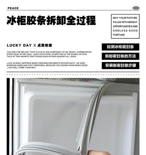 冰柜维修指南（解决冰柜内漏问题的关键步骤和技巧）  第1张