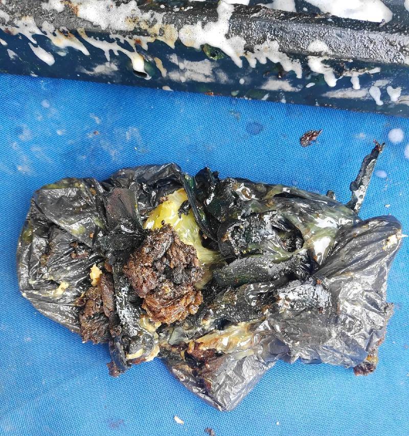 清洗油烟机的有效方法——茶油清洁法（使用茶油清洗油烟机，祛除油烟困扰）  第1张