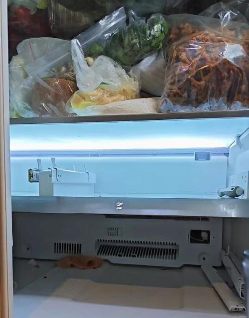 冰箱上部积水的解决方法（有效应对冰箱积水问题）  第2张