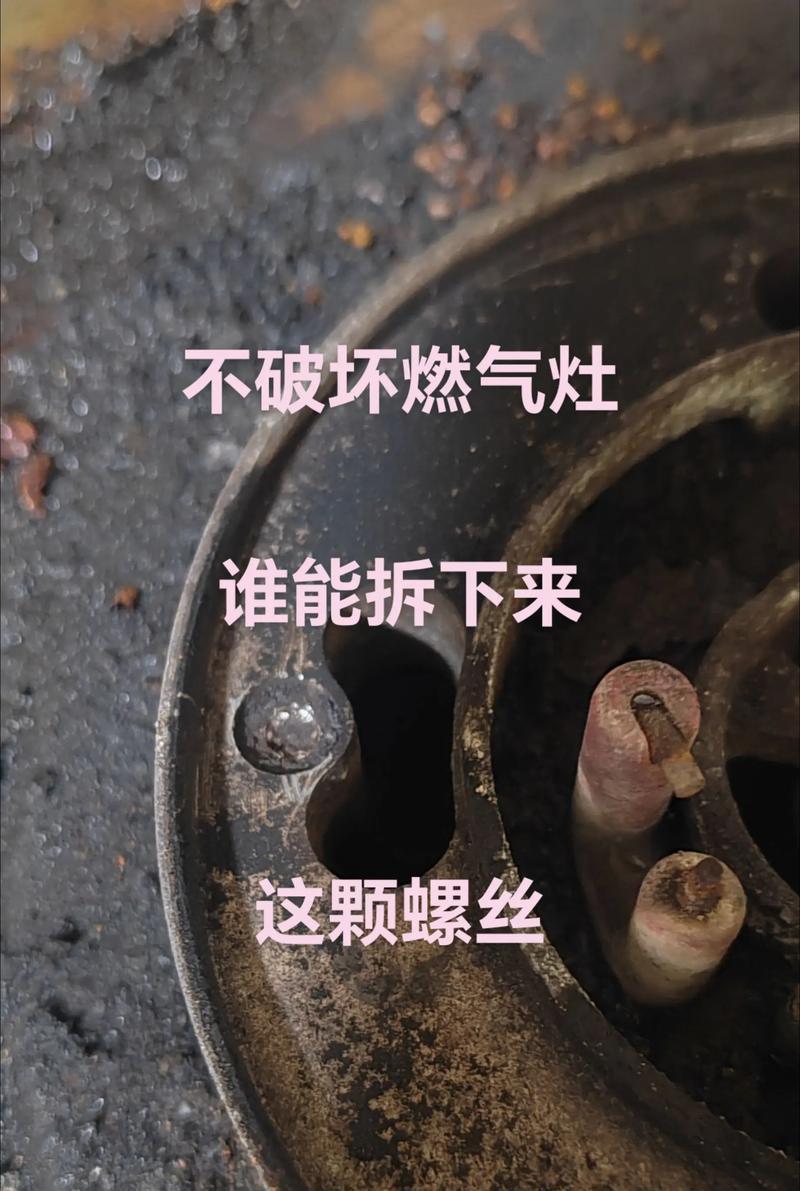 如何应对家中燃气灶有蝙蝠问题（有效的蝙蝠防治措施与安全使用燃气灶的方法）  第3张