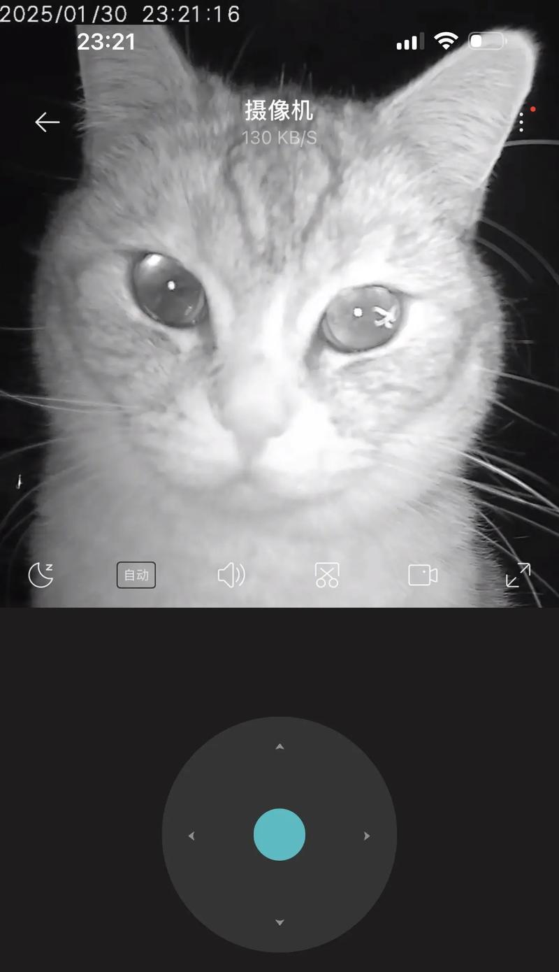 小猫追踪摄像头关闭步骤是什么？关闭后如何重新开启？  第3张