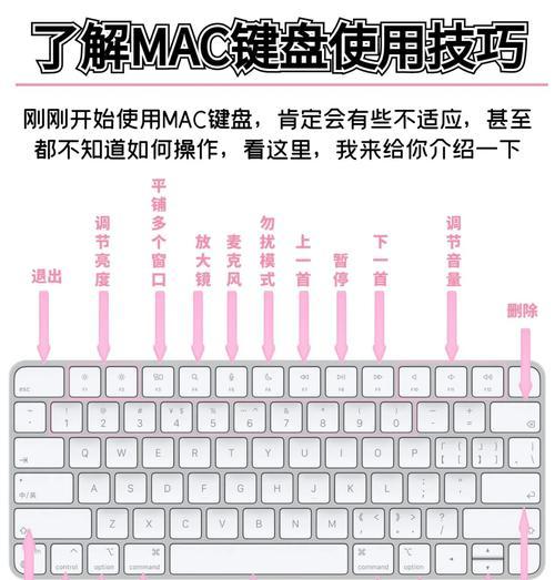 键盘上的符号如何输入？操作步骤是什么？  第2张
