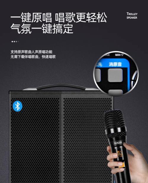 新龙音响唱歌音质怎么样？使用体验如何？  第3张