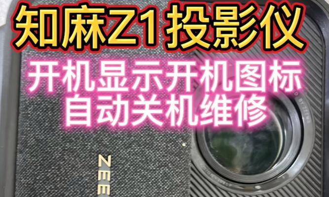 投影仪开机无声音的故障排除方法（解决投影仪开机无声音问题的有效方法）  第1张